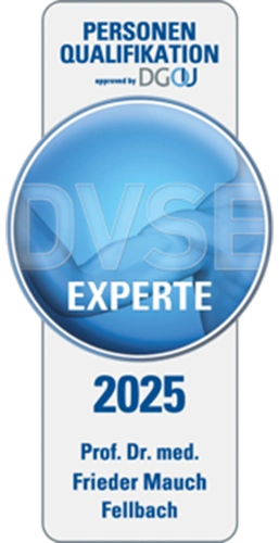 Sportheum_Sportklinik_Fellbach_DrMauch_DVSE-Experte Sportheum Sportklinik Fellbach Dr. Mauch DVSE-Experte