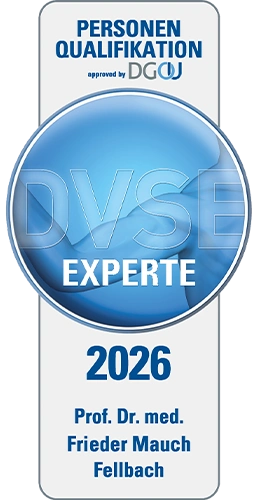 Sportheum Sportklinik Fellbach Dr. Mauch DVSE-Experte 2026