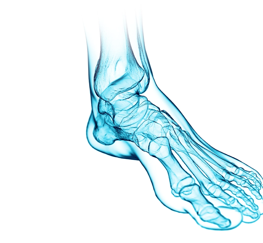 Sportheum_Sportklinik_Fellbach_Fachbereiche_Fuss_Sprunggelenk Sportheum Sportklinik in Fellbach mit Fachbereiche Fuss und Sprunggelenk