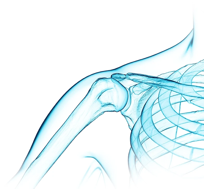 Spezialisten für Schulter- und Ellenbogenverletzungen in der Sportheum Sportklinik Stuttgart – moderne, innovative Praxis für Sportverletzungen und Gelenkexpertise.